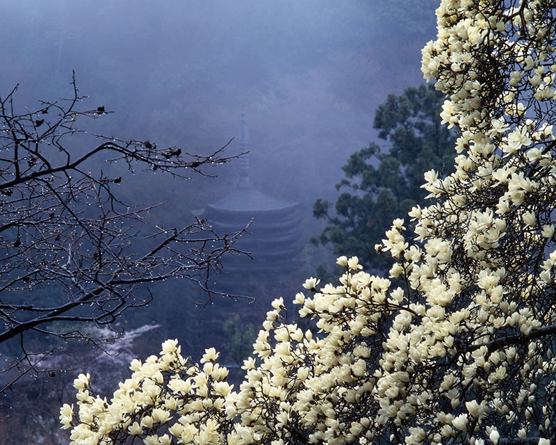 入江泰吉「大和路三十三景」 入江泰吉記念奈良市写真美術館-2