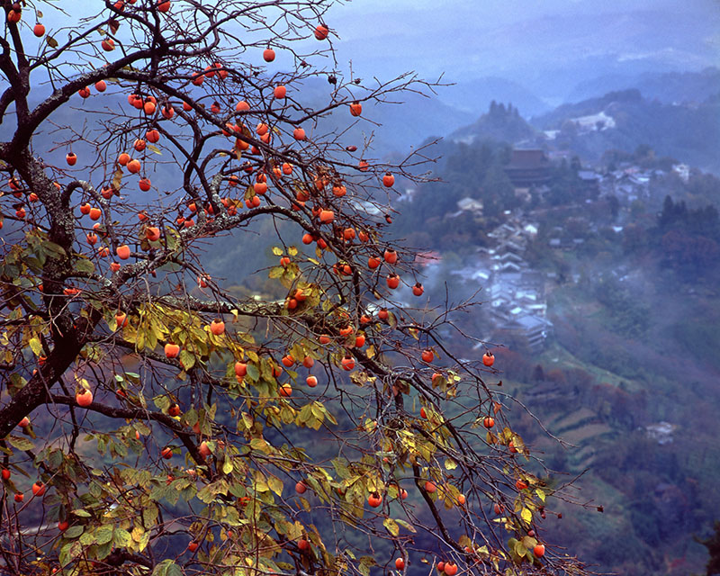 入江泰吉「大和路三十三景」 入江泰吉記念奈良市写真美術館-3