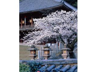 入江泰吉「大和路三十三景」