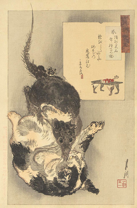 Ukiyo-e猫百科 ごろごろまるまるネコづくし 美術館「えき」KYOTO-5
