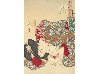 Ukiyo-e猫百科 ごろごろまるまるネコづくし