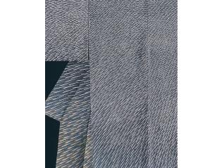 こどもとおとなの自由研究　もようわくわく²