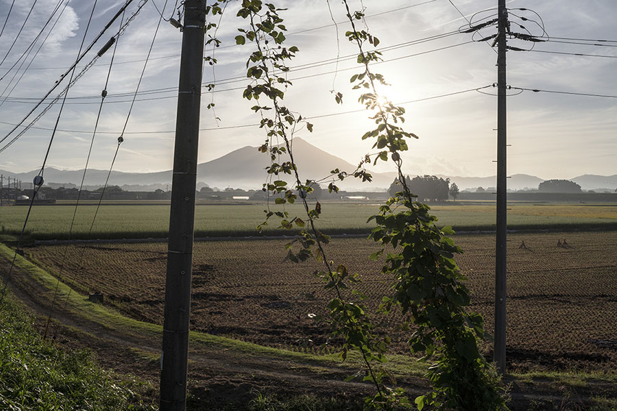 第六回入江泰吉記念写真賞受賞作品展　中古 樹「路傍の光」 入江泰吉記念奈良市写真美術館-1