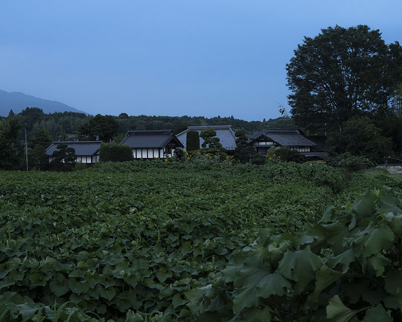 第六回入江泰吉記念写真賞受賞作品展　中古 樹「路傍の光」 入江泰吉記念奈良市写真美術館-2