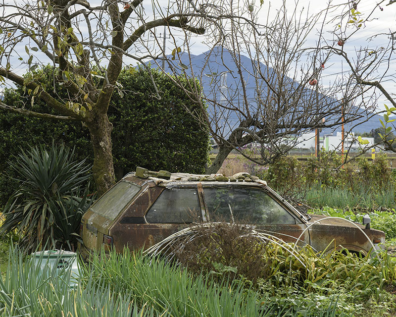 第六回入江泰吉記念写真賞受賞作品展　中古 樹「路傍の光」 入江泰吉記念奈良市写真美術館-4