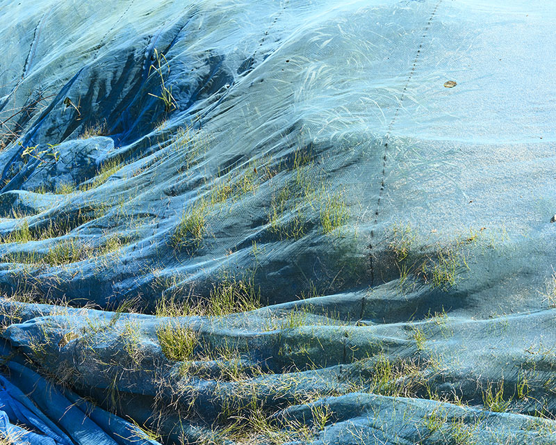 第六回入江泰吉記念写真賞受賞作品展　中古 樹「路傍の光」 入江泰吉記念奈良市写真美術館-5