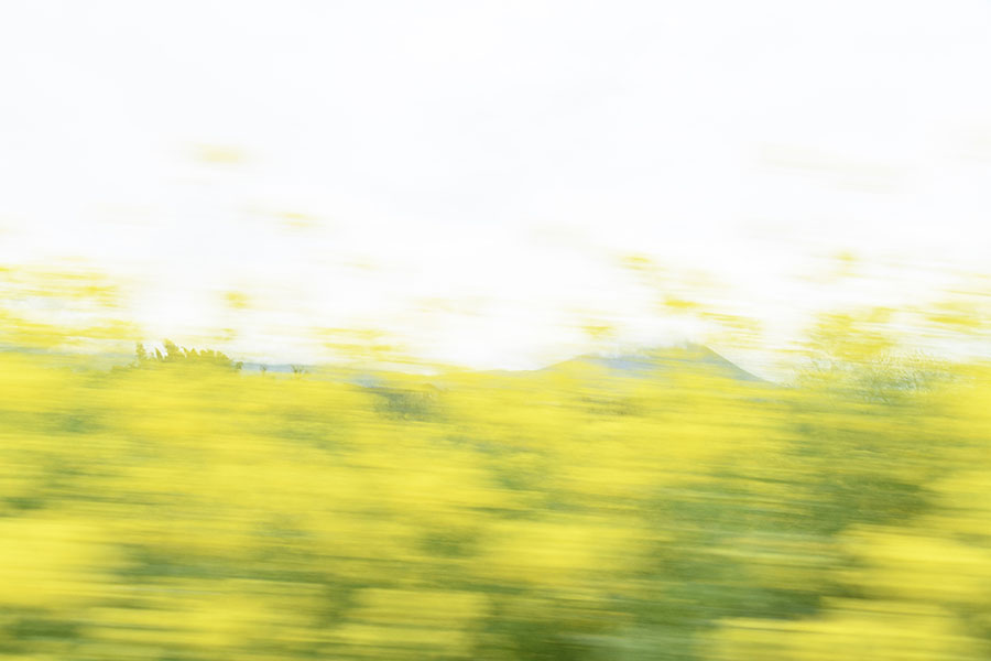 第六回入江泰吉記念写真賞受賞作品展　中古 樹「路傍の光」 入江泰吉記念奈良市写真美術館-6