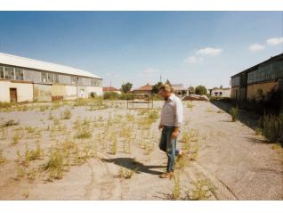 ジャッド｜マーファ展