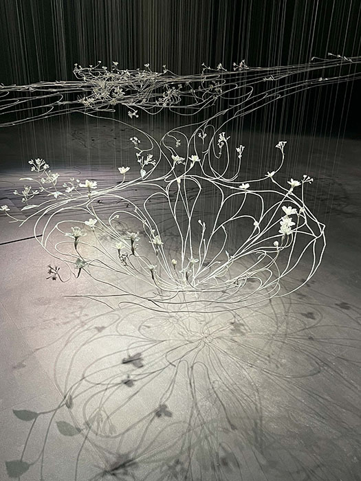 能登とartists 能登とともにある、アーティストの思考と行動 そごう美術館-2