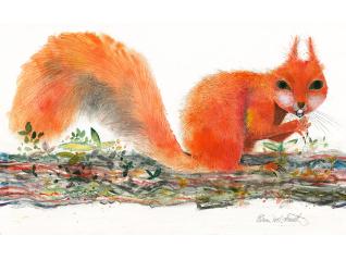 ちひろ美術館コレクション　世界に生きる動物たち