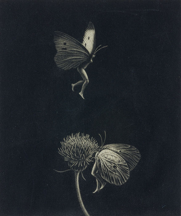 秀島由己男展　ダークファンタジー／ミステリアス　 水俣が生んだ異才 熊本市現代美術館-1