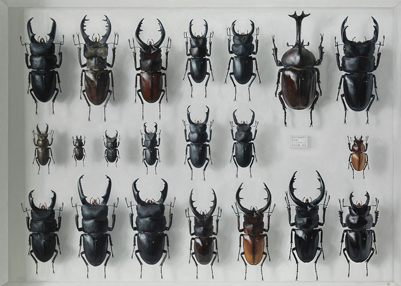 特別展「極・写実−ホキ美術館ベストセレクション」 香川県立ミュージアム-5