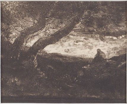 Noctis：影と光のグラスアート 富山市ガラス美術館-4