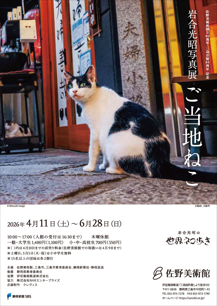 佐野美術館創立60周年・三島市制85周年記念 岩合光昭写真展 「ご当地ねこ」 佐野美術館-13