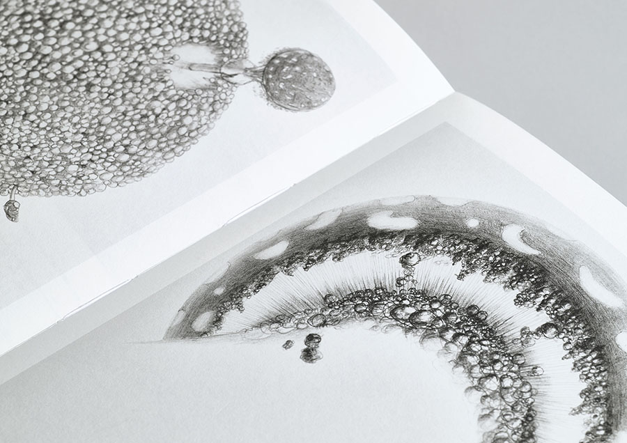 京都dddギャラリー第251回企画展　原画展　DRAW―原研哉は描いている 京都dddギャラリー-15