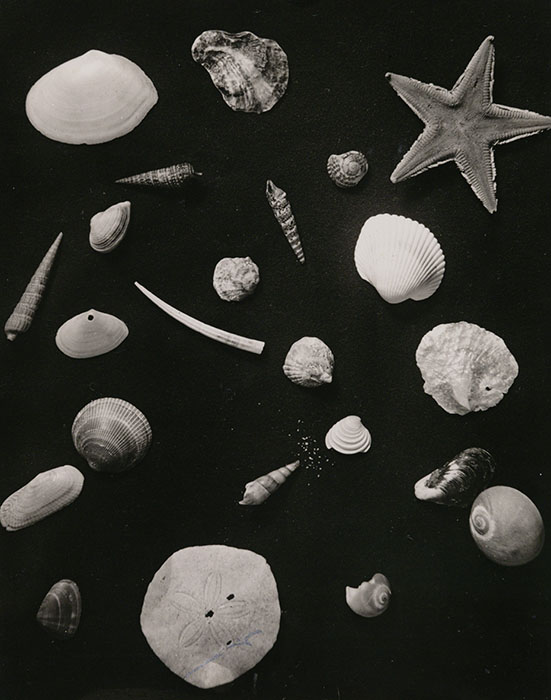 TOPコレクション Don't think. Feel. 東京都写真美術館-5