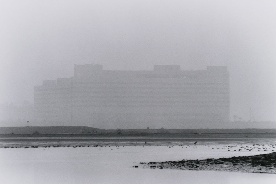 TOPコレクション Don't think. Feel. 東京都写真美術館-8