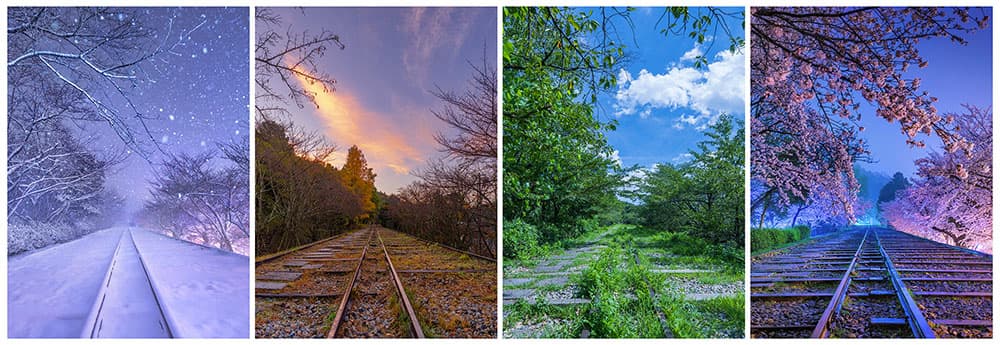 写真と映像でつむぐ、永遠のハーモニー　KAGAYA　天空の歌 そごう美術館-6