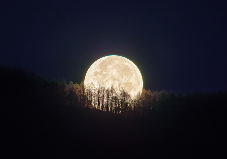 写真と映像でつむぐ、永遠のハーモニー　KAGAYA　天空の歌 そごう美術館-7