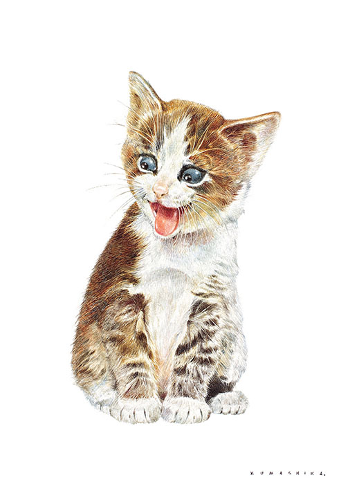 熊田千佳慕の世界　～愛するからこそ美しい～ 群馬県立館林美術館-4