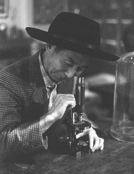 熊田千佳慕の世界　～愛するからこそ美しい～ 群馬県立館林美術館-8