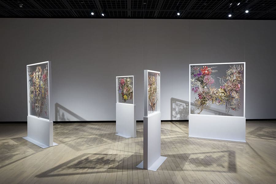 まなざしの奇跡　日本女性写真家の冒険 ヒカリエホール（渋谷ヒカリエ9F）-16