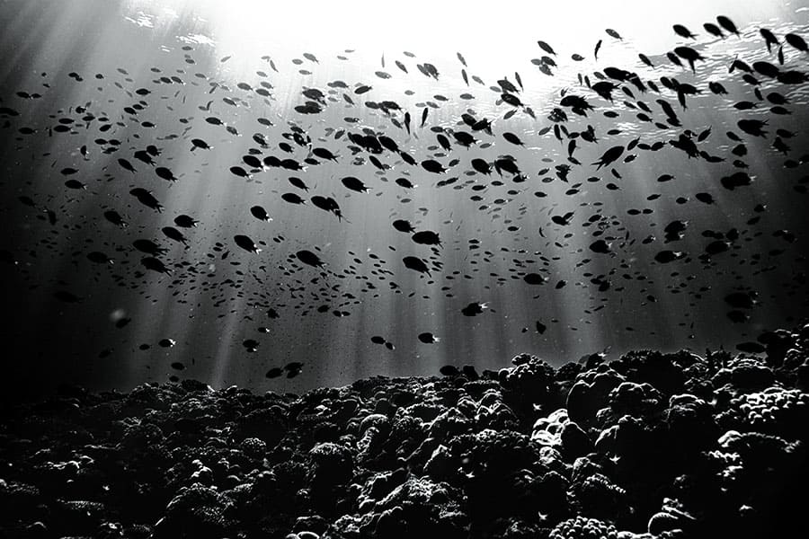 まなざしの奇跡　日本女性写真家の冒険 ヒカリエホール（渋谷ヒカリエ9F）-5