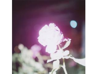 まなざしの奇跡　日本女性写真家の冒険