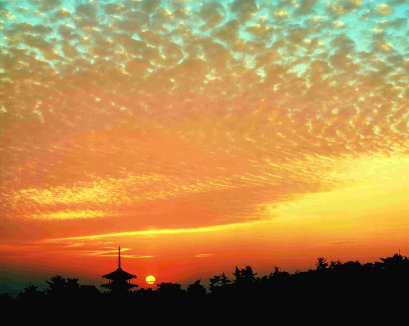 第12回 奈良を観る「カレンダーになった名画たち展」 奈良市美術館-2