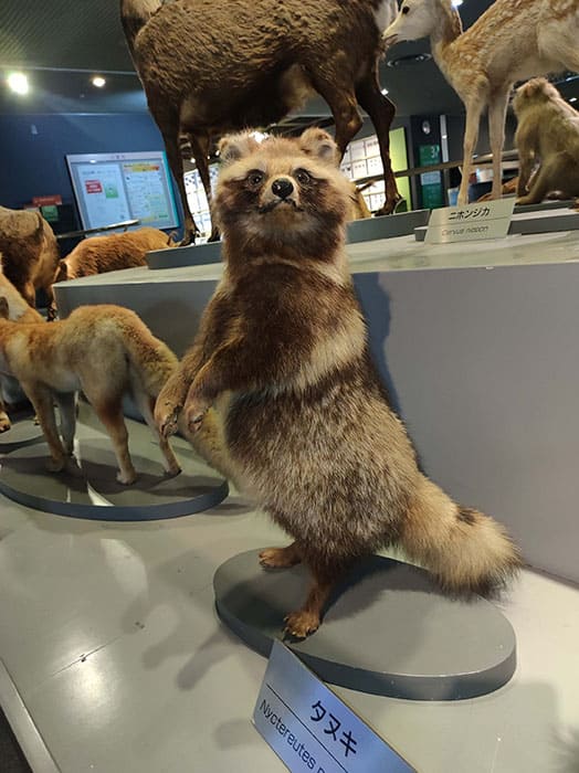 県立ミュージアムズ連携企画 ミュージアムのミステリー 兵庫県立美術館-10