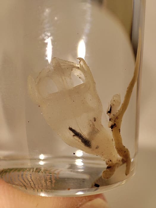 県立ミュージアムズ連携企画 ミュージアムのミステリー 兵庫県立美術館-11