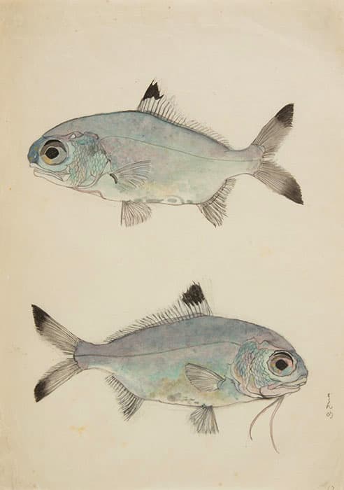 絵画の時間 ―えがく・みせる・つなぐ― 碧南市藤井達吉現代美術館-6