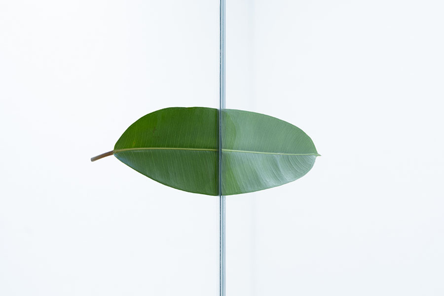 企画展「コレクションの樹、36年目の春 ―新収蔵品を中心に」 芦屋市立美術博物館-2