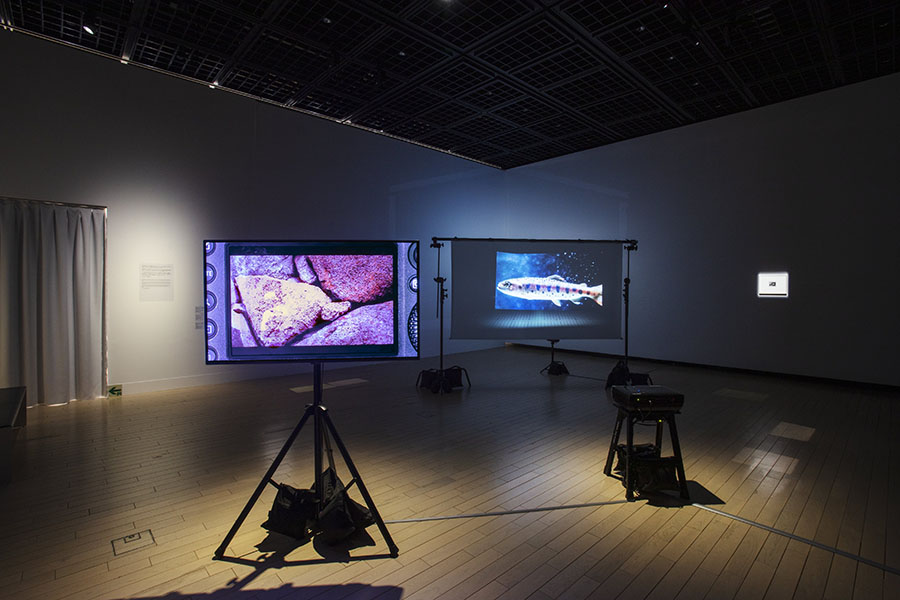 FOCUS＃6 澤田華個展「まめによそ見する足」 京都芸術センター-4