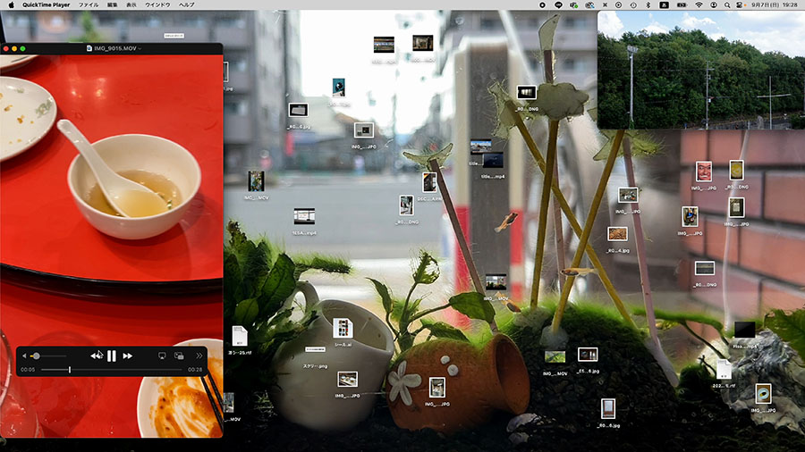 FOCUS＃6 澤田華個展「まめによそ見する足」 京都芸術センター-5