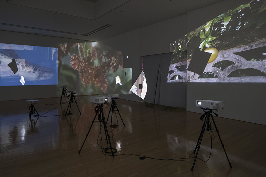 FOCUS＃6 澤田華個展「まめによそ見する足」 京都芸術センター-6