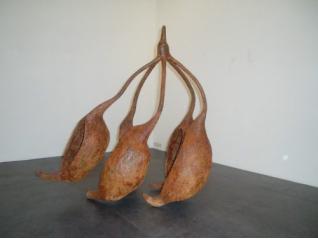 ロビー展　中嶋明希展　MY GARDEN