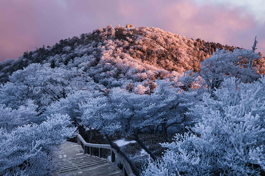 神の住む山　三橋直人展 奈義町現代美術館-1