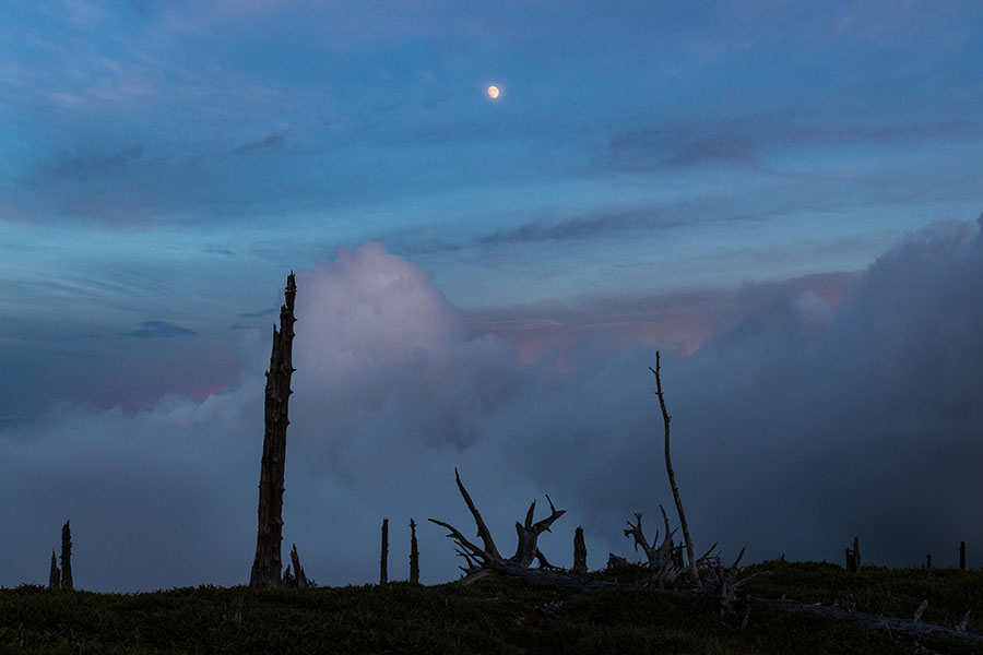 神の住む山　三橋直人展 奈義町現代美術館-5
