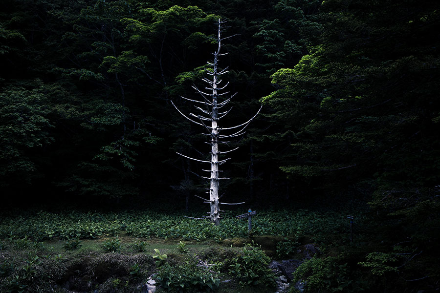 神の住む山　三橋直人展 奈義町現代美術館-6