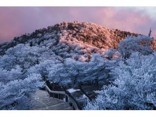 神の住む山　三橋直人展