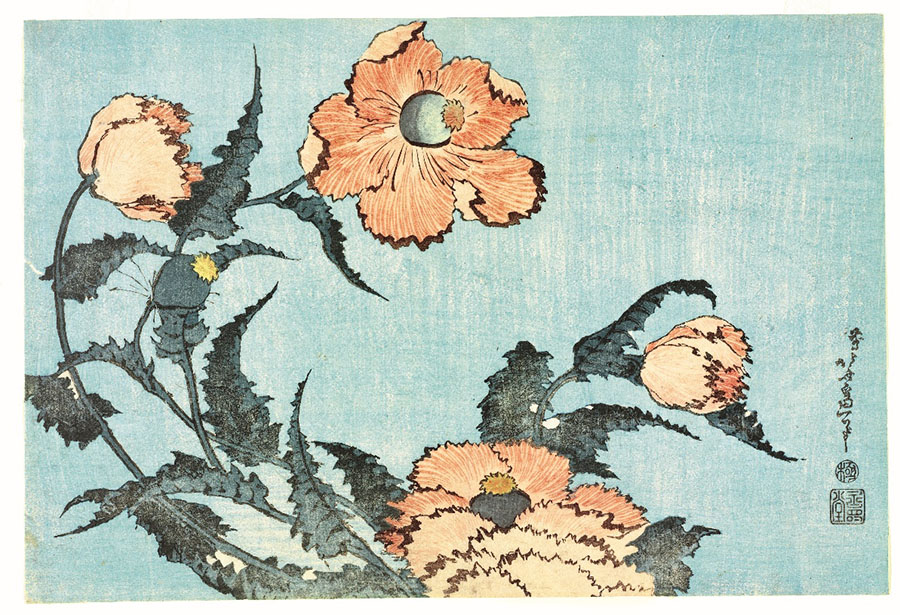 ロックフェラー・コレクション 花鳥版画展　北斎、広重を中心に 山口県立萩美術館・浦上記念館-1