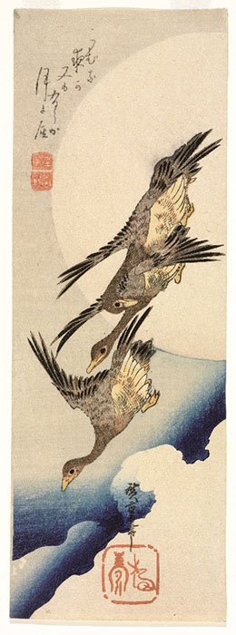 ロックフェラー・コレクション 花鳥版画展　北斎、広重を中心に 山口県立萩美術館・浦上記念館-5