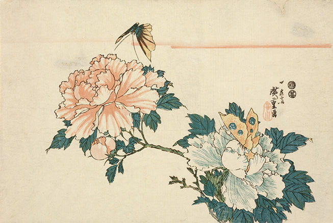 ロックフェラー・コレクション 花鳥版画展　北斎、広重を中心に 山口県立萩美術館・浦上記念館-6