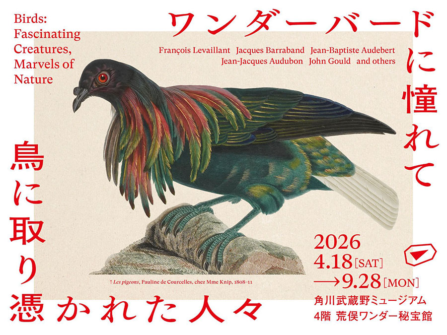 ワンダーバードに憧れて　鳥に取り憑かれた人々 角川武蔵野ミュージアム-1