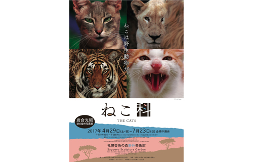 岩合光昭写真展　THE CATS ねこ科 ねこは野生動物だ。 札幌芸術の森野外美術館-18