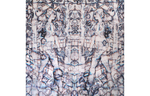 のっぴきならない遊動：黒宮菜菜／二藤建人／若木くるみ 京都芸術センター-1