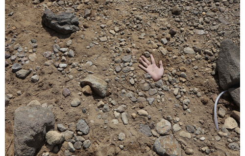 のっぴきならない遊動：黒宮菜菜／二藤建人／若木くるみ 京都芸術センター-3