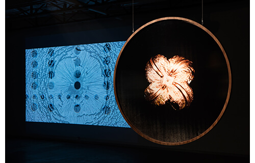 オープン・スペース　2017 未来の再創造 NTTインターコミュニケーション・センター［ICC］-2