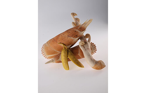 ニッポンの写実　そっくりの魔力 北海道立函館美術館-1